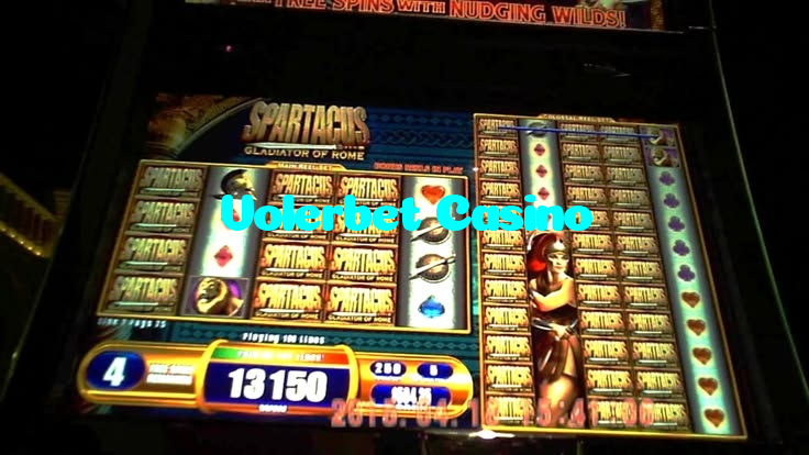 available types of Volerbet Casino bet including pre-match live express and system bets